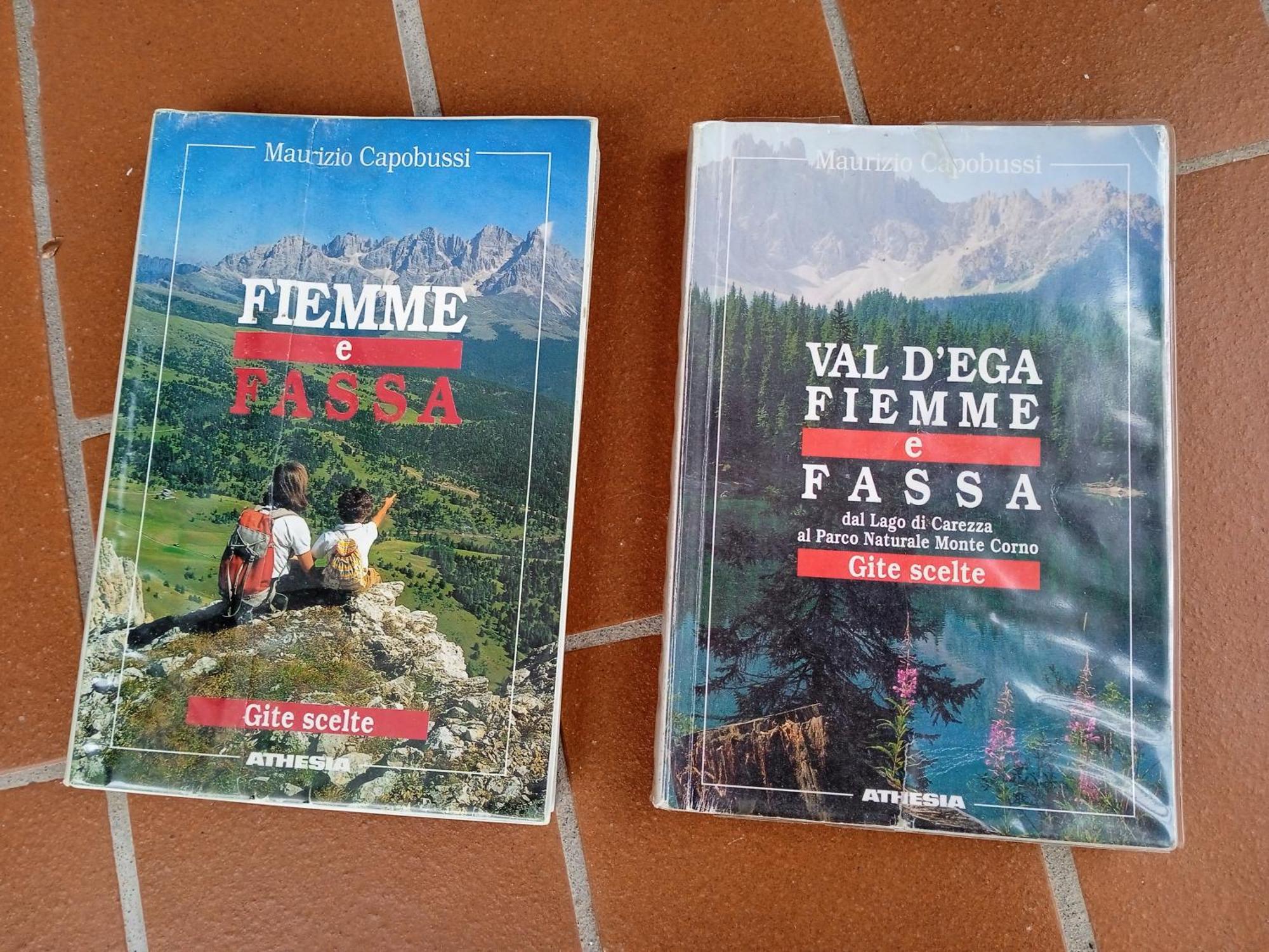 Appartamento Tiziana Val Di Fiemme Carano  Extérieur photo