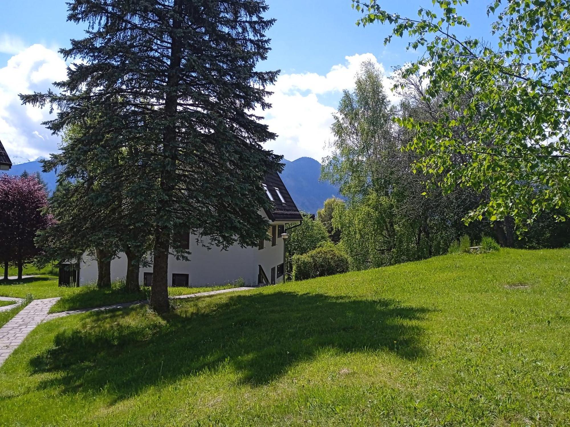 Appartamento Tiziana Val Di Fiemme Carano  Extérieur photo